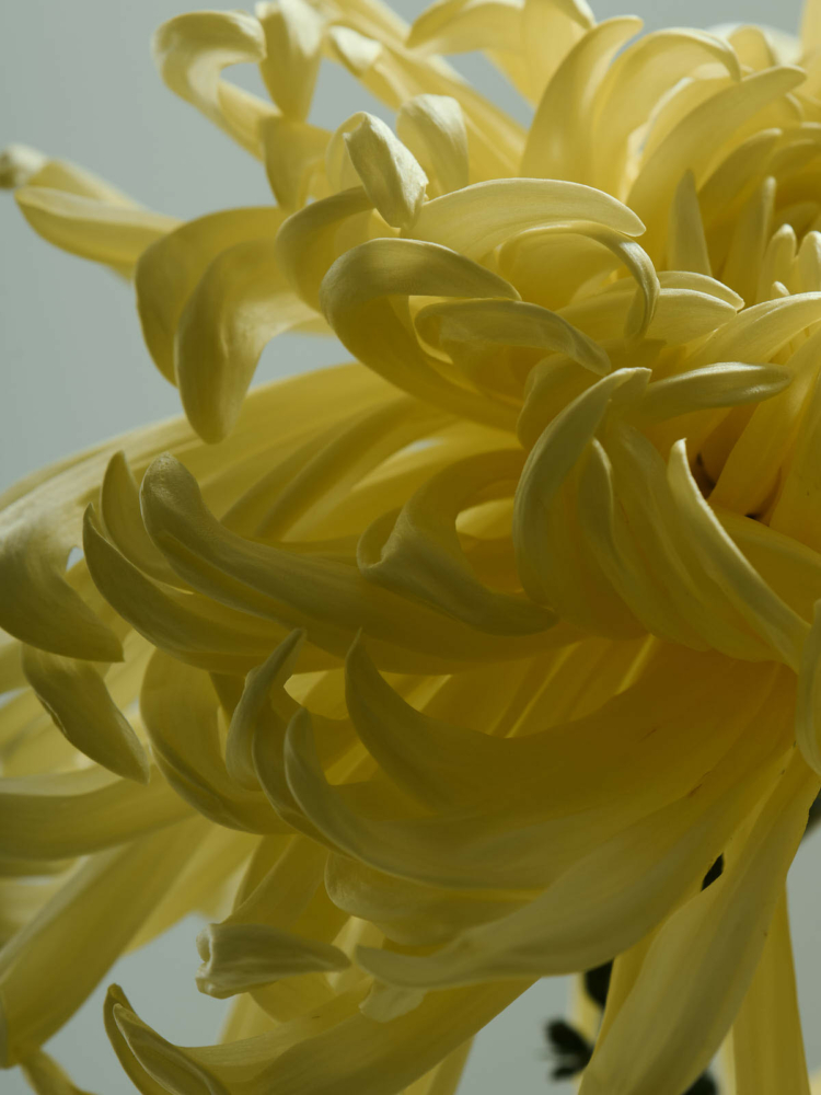 2023-09-30_SHOOT_MARION_JUJU7143_HD