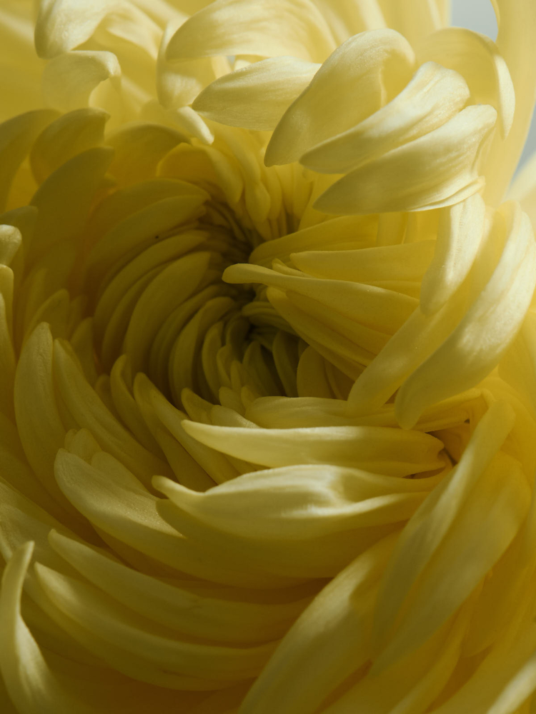 2023-09-30_SHOOT_MARION_JUJU7148_HD