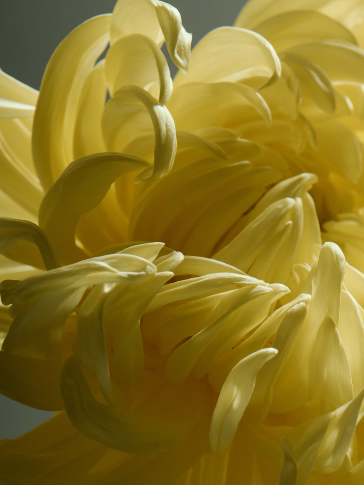 2023-09-30_SHOOT_MARION_JUJU7161_HD