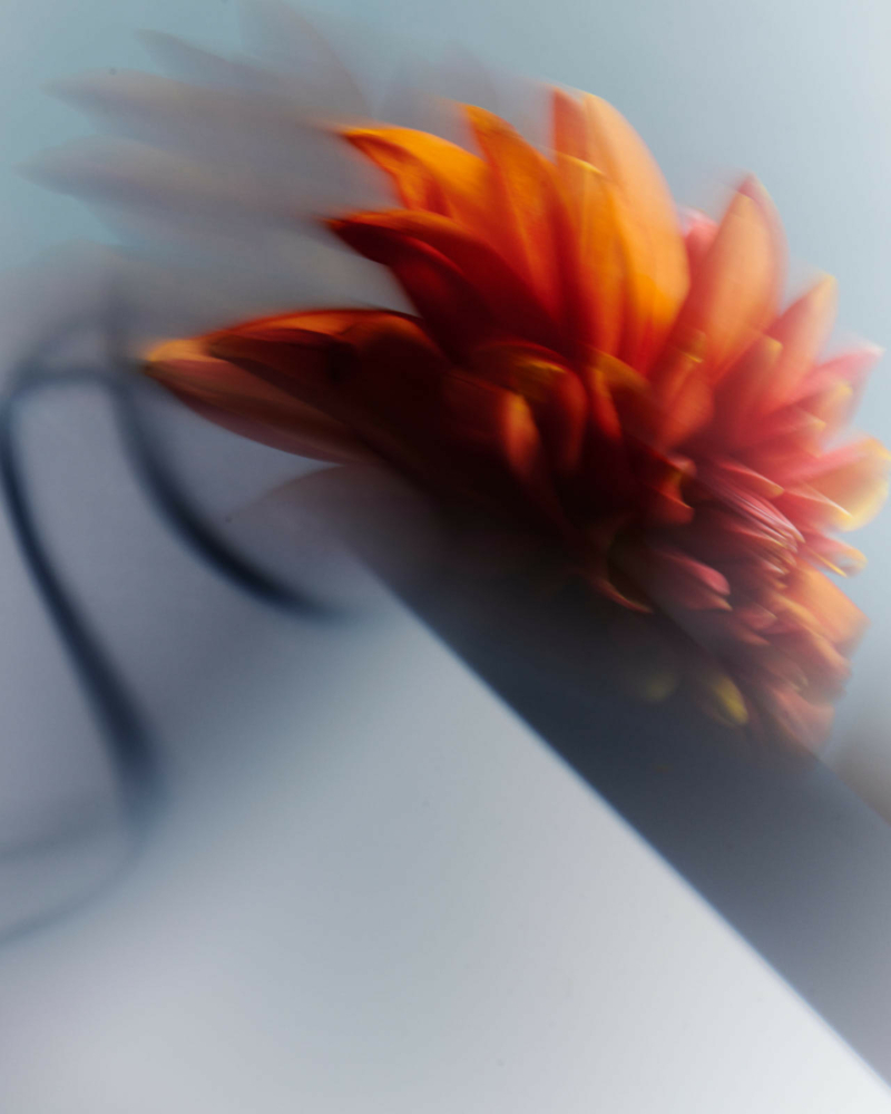 2023-09-30_SHOOT_MARION_JUJU7290_HD