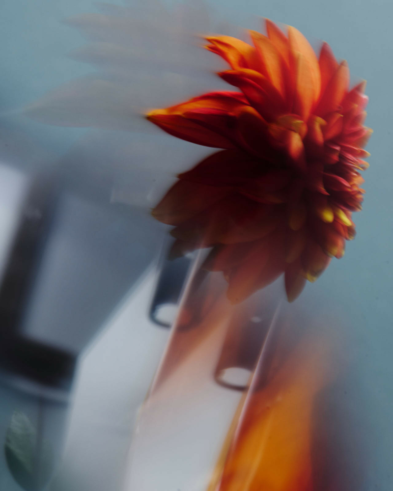 2023-09-30_SHOOT_MARION_JUJU7293_HD