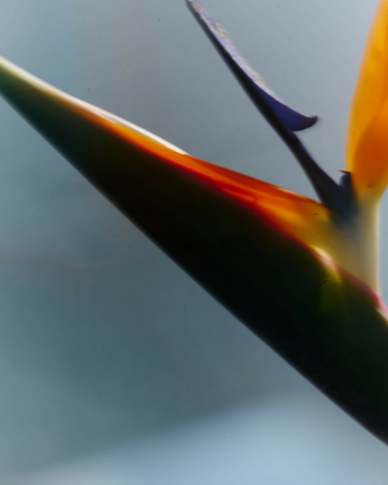 2023-09-30_SHOOT_MARION_JUJU7320_HD