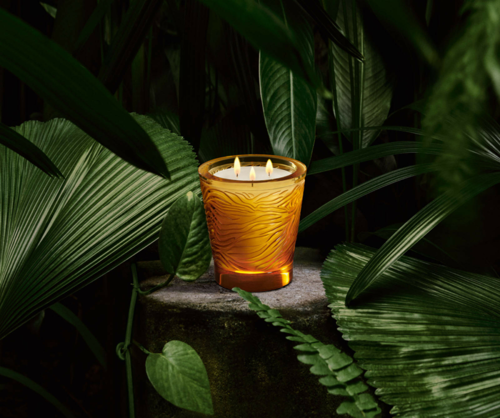 LALIQUE_JUNGLE_avec flamme_RVB