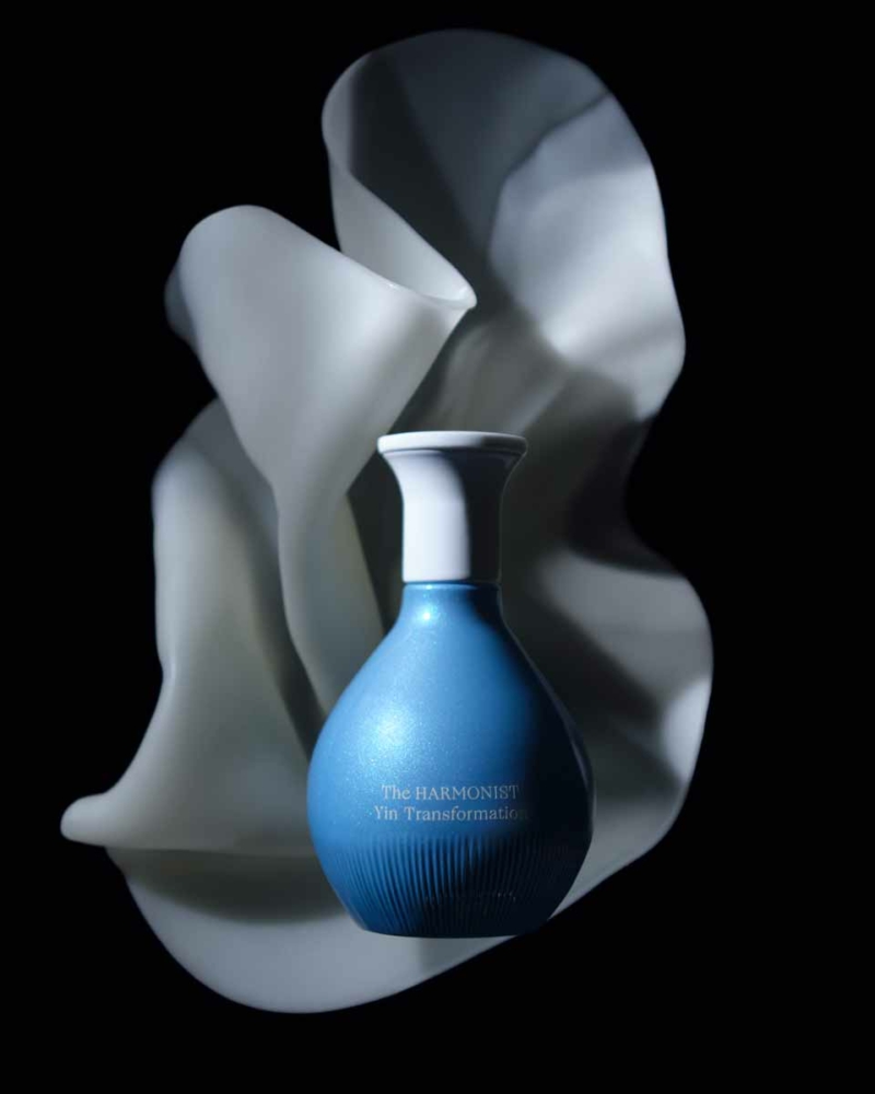 YIN TRANSFORMATION 0146 2 R3 (1)